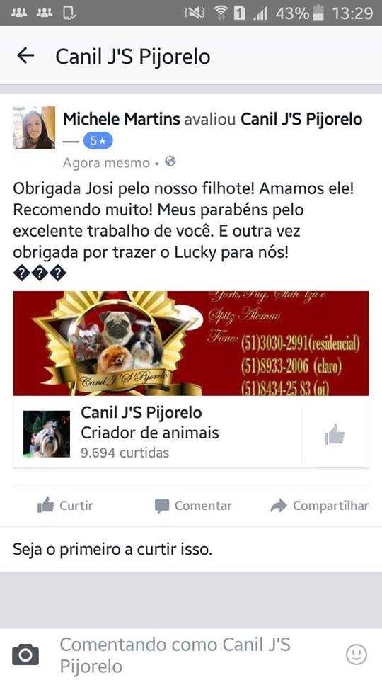 Avaliações do Canil