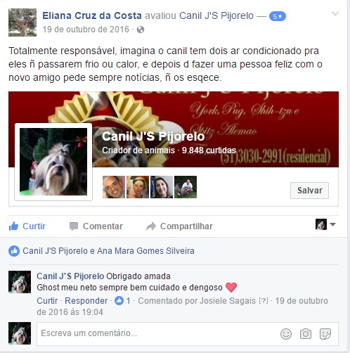 Avaliações do Canil