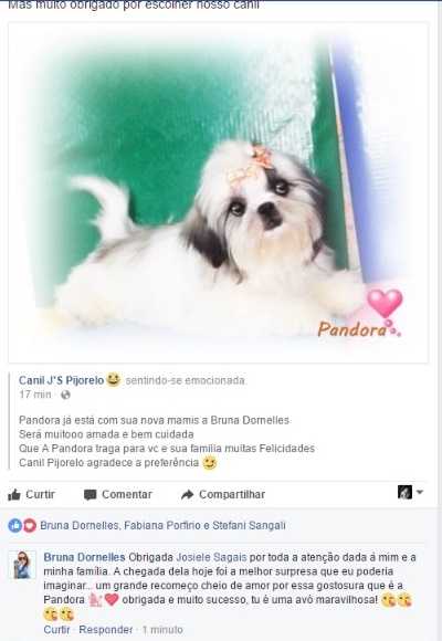 Avaliações do Canil