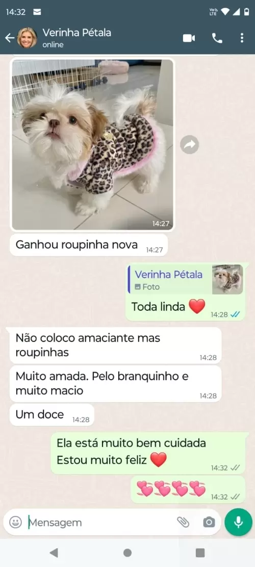 Filhotes Em Novos Lares