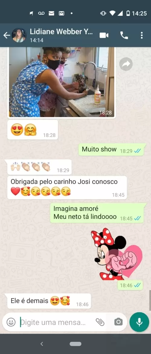 Filhotes Em Novos Lares