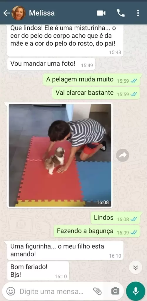 Avaliações do Canil