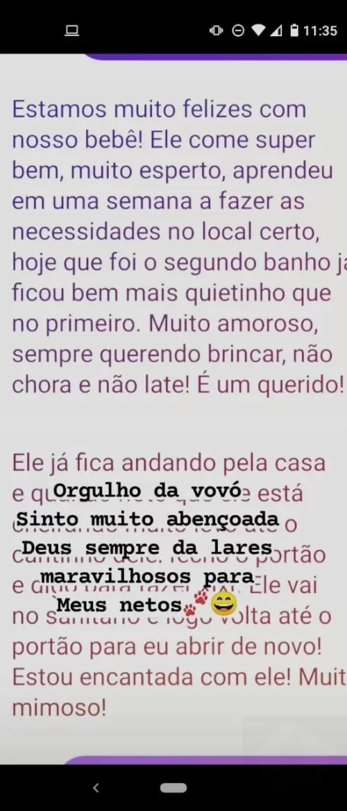Avaliações do Canil