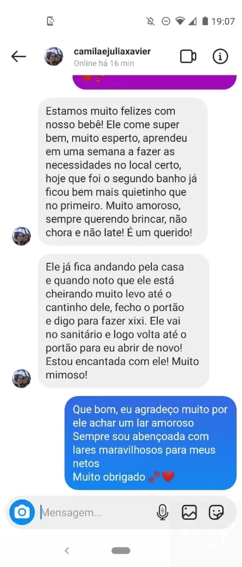 Avaliações do Canil