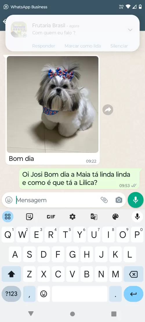 Avaliações do Canil