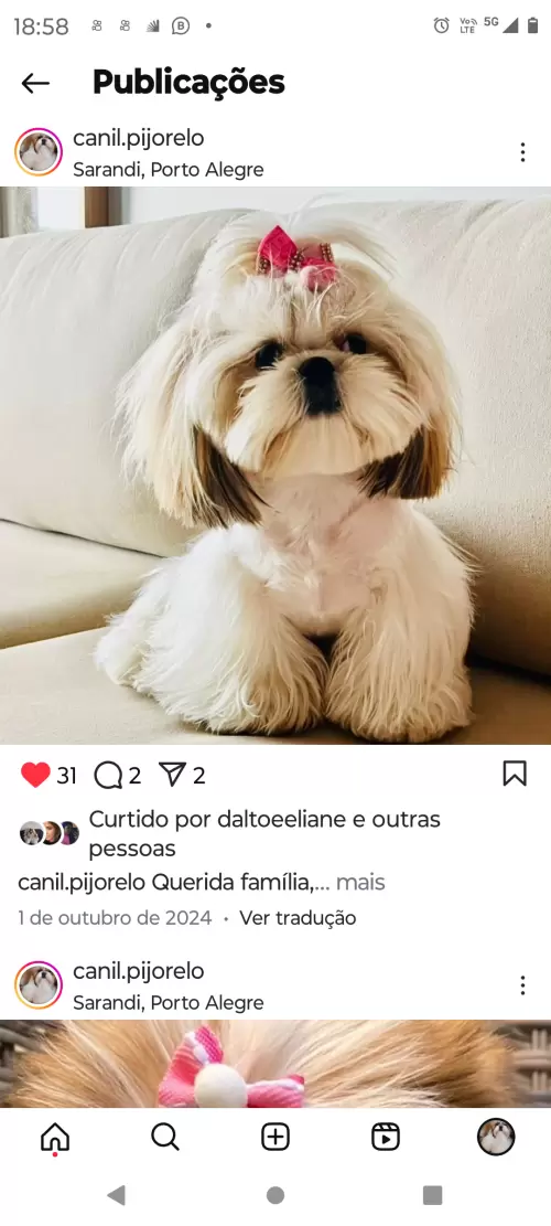 Avaliações do Canil