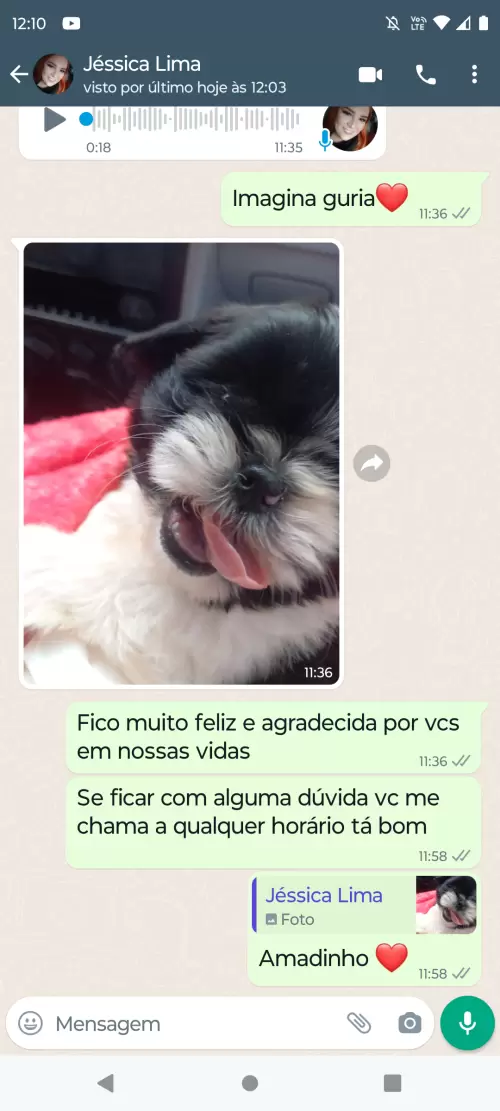Avaliações do Canil