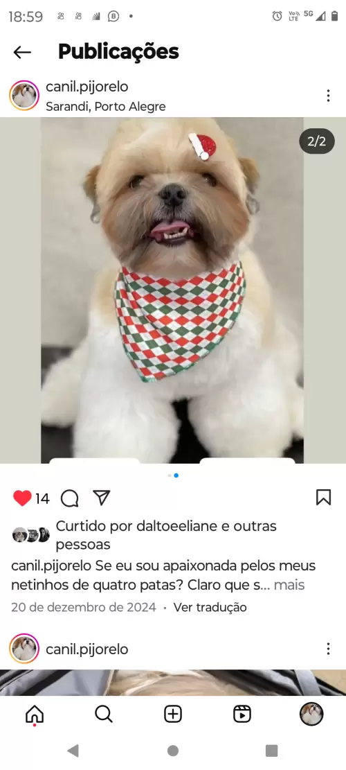 Avaliações do Canil