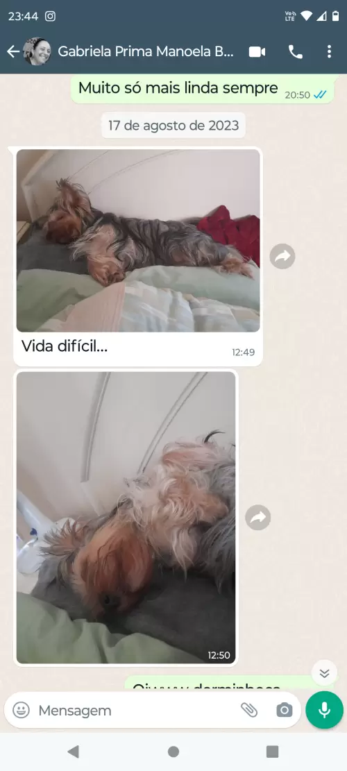 Avaliações do Canil