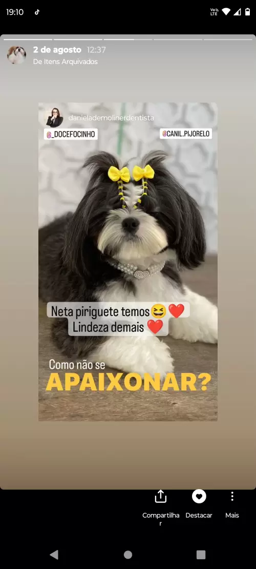 Avaliações do Canil