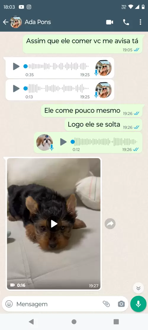 Avaliações do Canil
