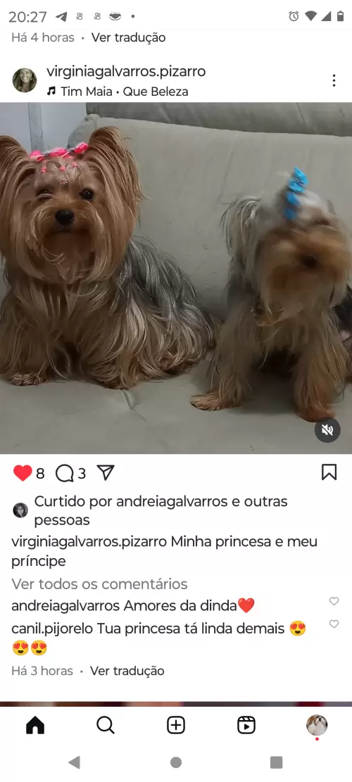 Avaliações do Canil