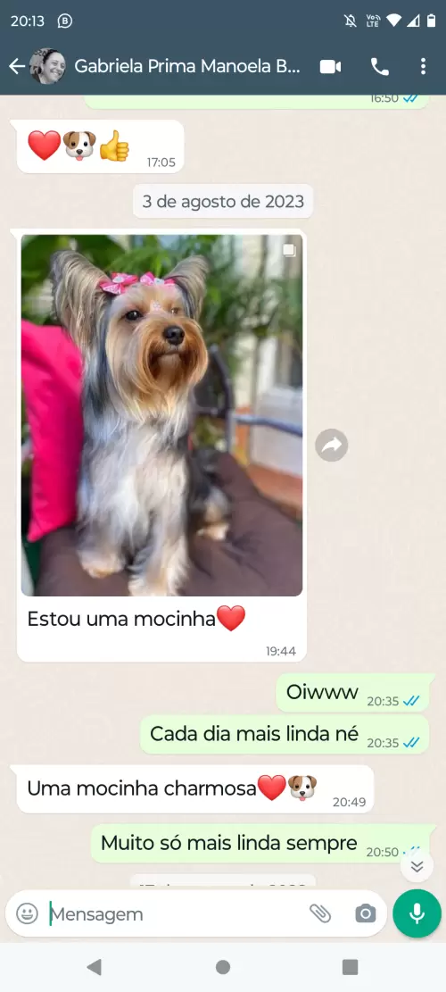 Avaliações do Canil