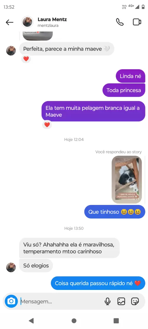 Avaliações do Canil