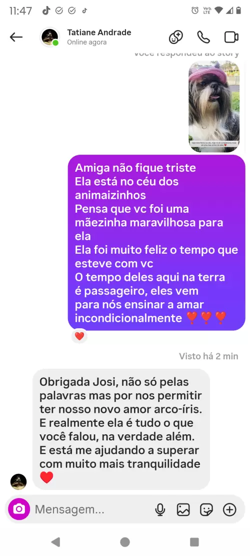 Avaliações do Canil