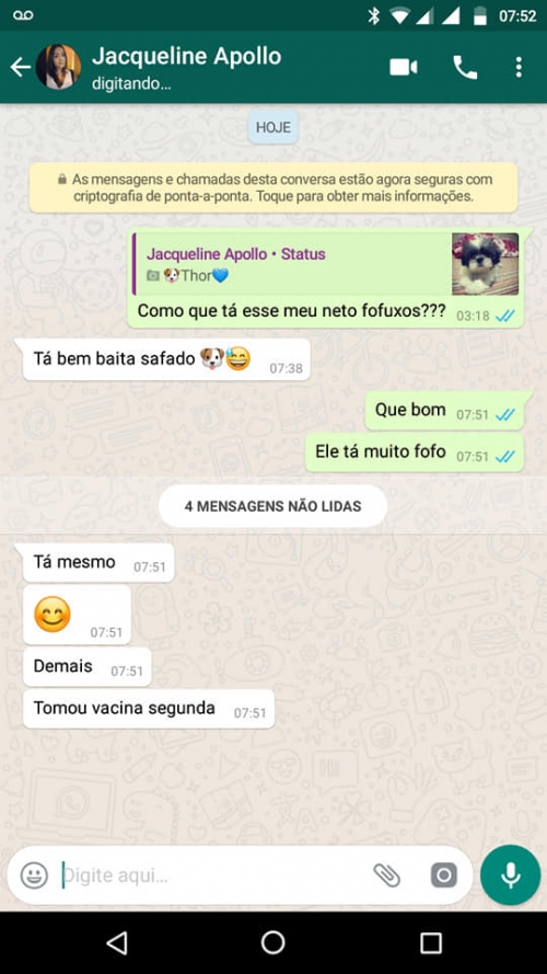 Shih Tzus são otimos para crianças.
