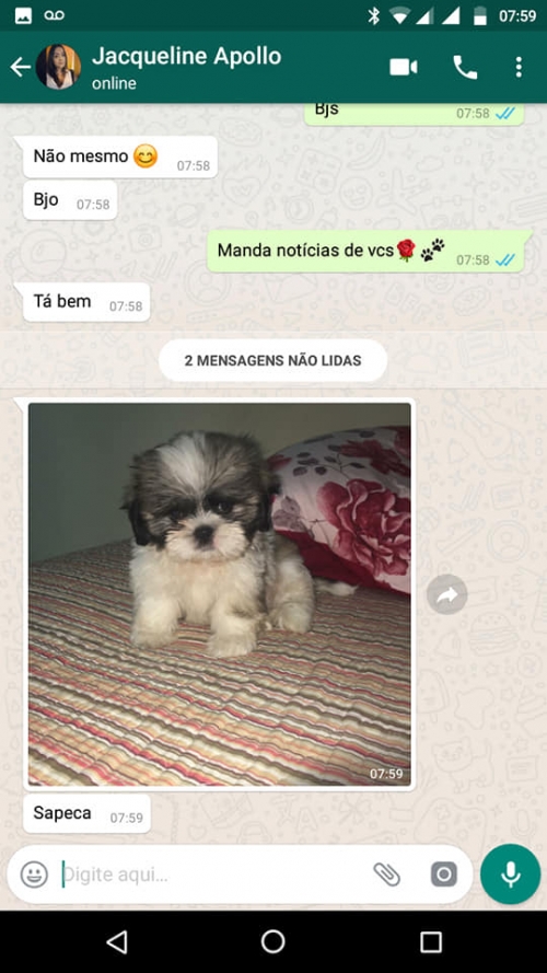 Assistência Cinófila