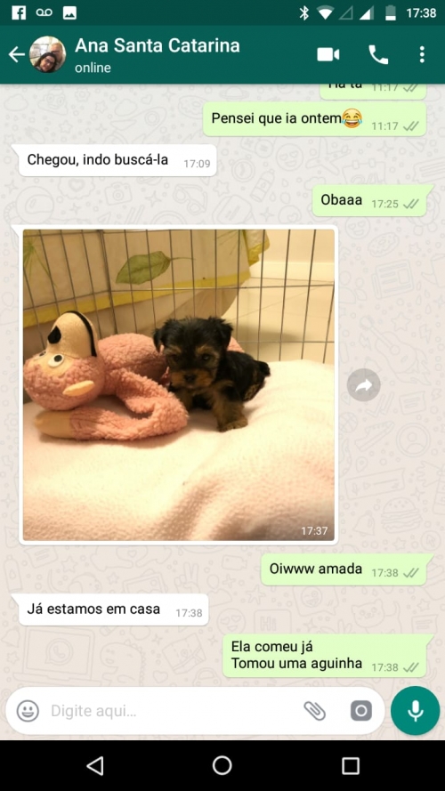 Nossa cliente Ana, que mora em Santa Catarina
Fez questão de pedir para uma amiga levar sua nova bbs aqui do nosso canil
Amadinha linda...
Estamos sempre em contato.
