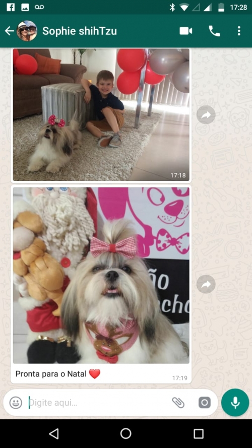Nossa netinha Sophie
Sempre a mamis dela nos manda fotinhos, para sabermos como ela está
E claro está sempre maravilhosa
Agora esperando o papail noel...