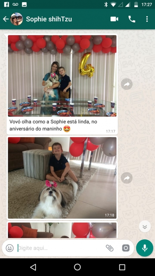 Sophie no niver do maninho humano dela
Ela adora ser fotografada .