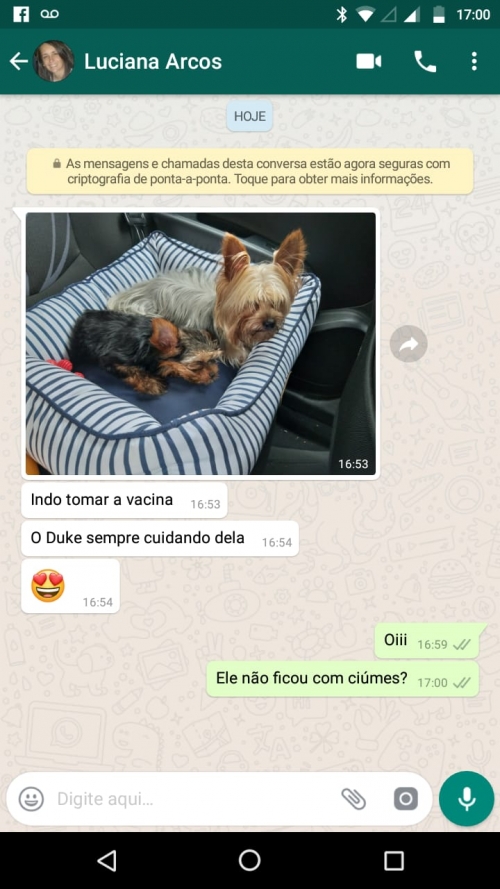 Assistência Cinófila
