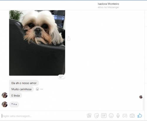 Ah! Agora sim posso ir dormir
Ganhei minha noite
Tinha perdido o contato com elas
Mas que bom que minha neta me achou
E tá cada dia mais linda.
Está sempre em meu coração.
#netalinda
#netagorduxinha