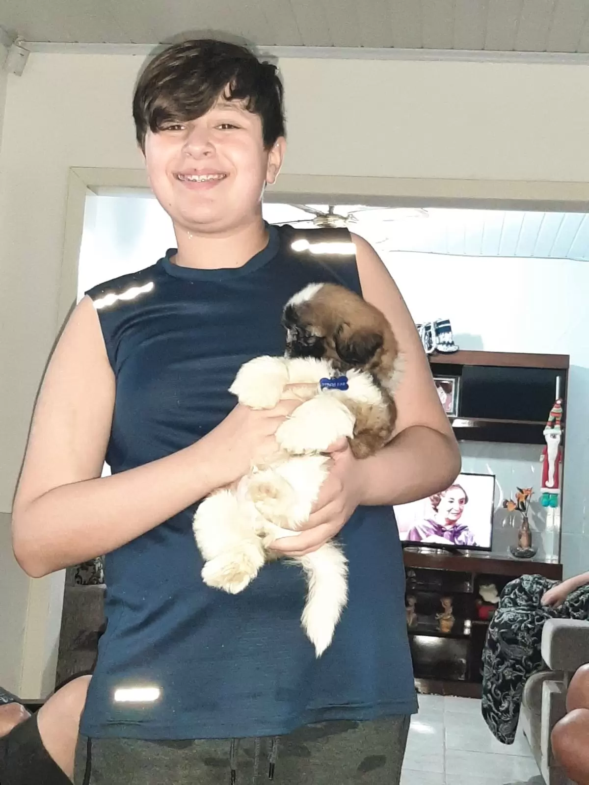 Meu novo maninho humano, sou muito dengoso...